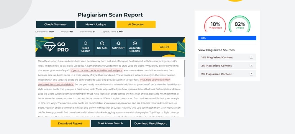 plagiarism detector score